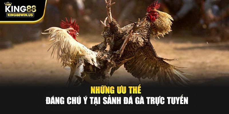 Những ưu thế đáng chú ý tại sảnh đá gà trực tuyến